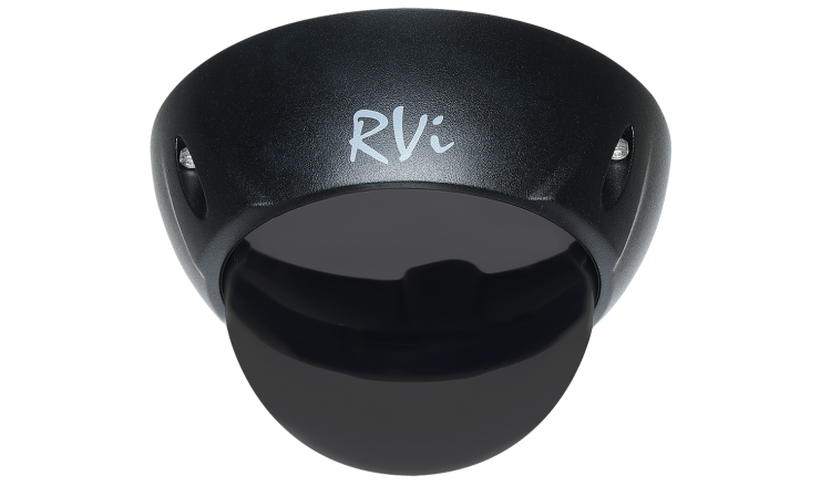 RVi-1DS3b